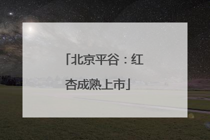 北京平谷：红杏成熟上市
